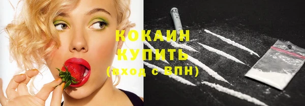 2c-b Бикин