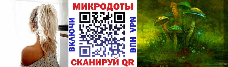 Галлюциногенные грибы Psilocybine cubensis  купить закладку  Тында 