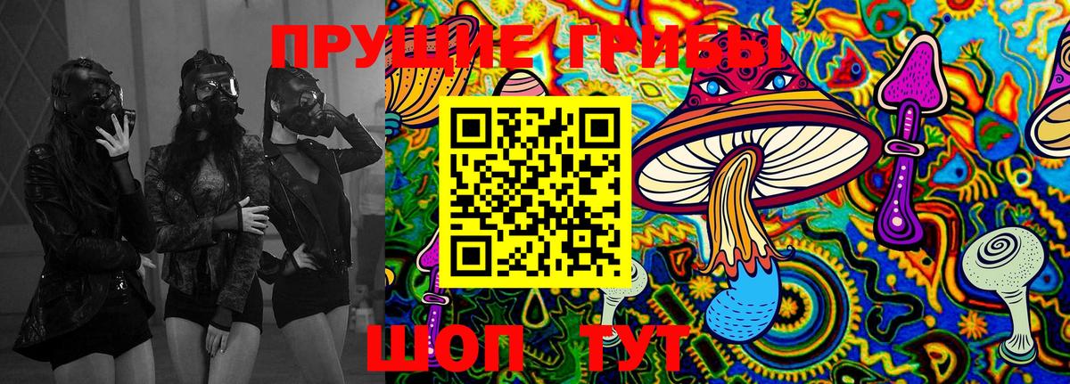 Тында  Галлюциногенные грибы ЛСД  Вход с VPN 