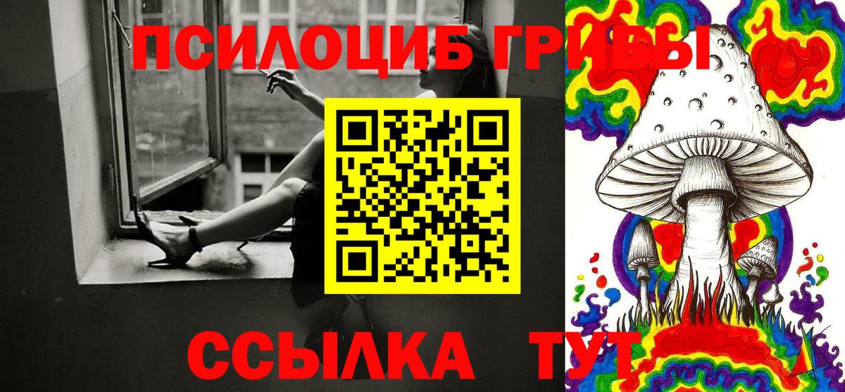 Псилоцибиновые грибы Magic Shrooms  Тында 